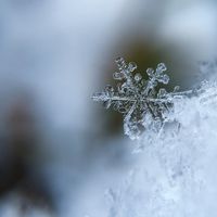 Top tips to freeze out winter plumbing problems